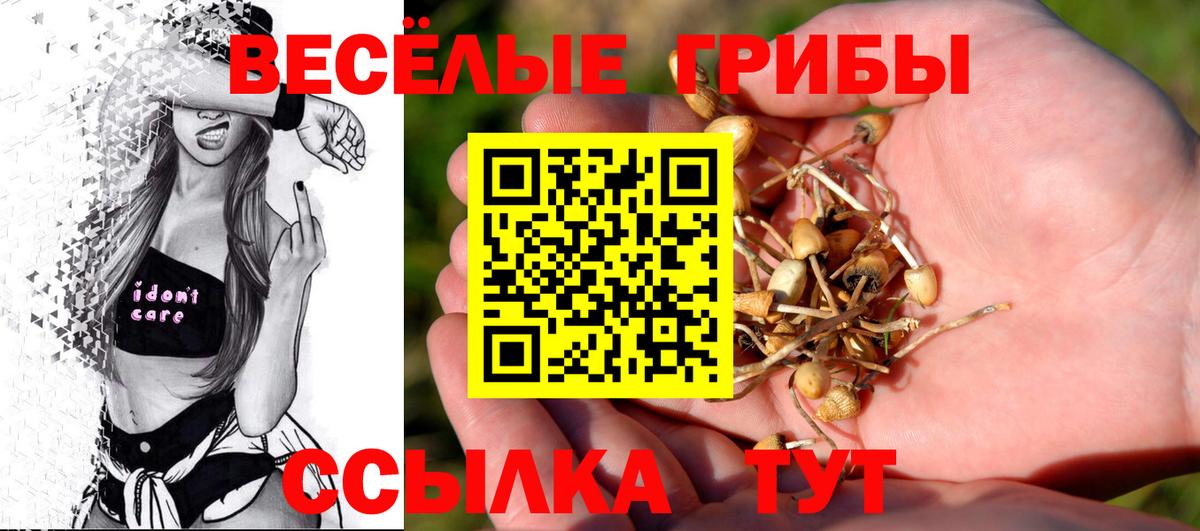МЕФ кристаллы  МЕТ  Вход с VPN  ГАШ  Кириши  Бошки Шишки 