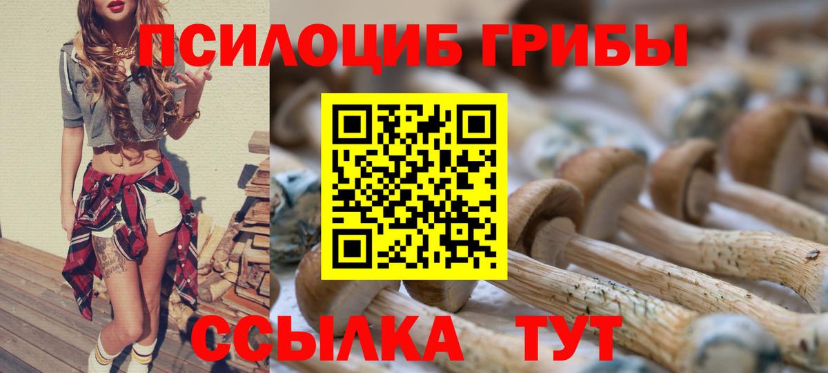 Кириши  Псилоцибиновые грибы Magic Shrooms  Вход с VPN 